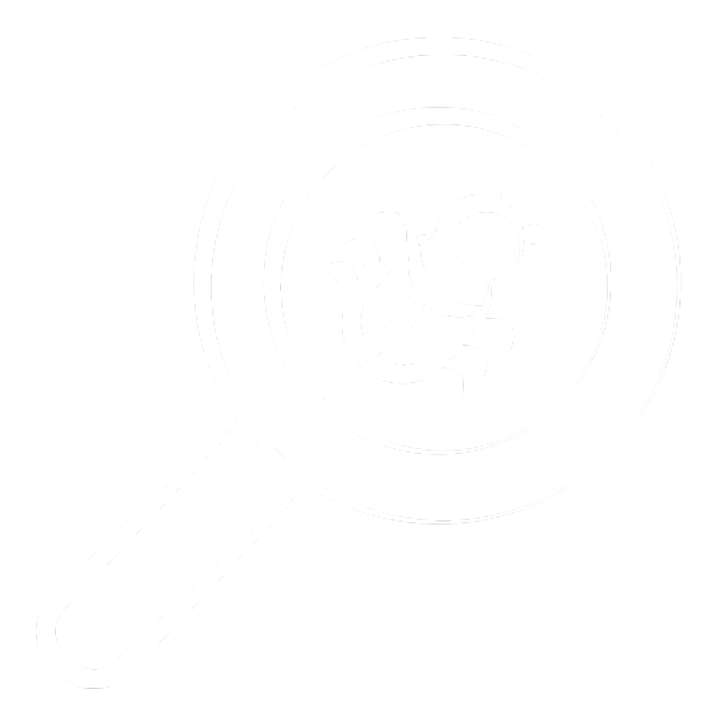 Bug Sweep Security Services Bug Sweep Security Services